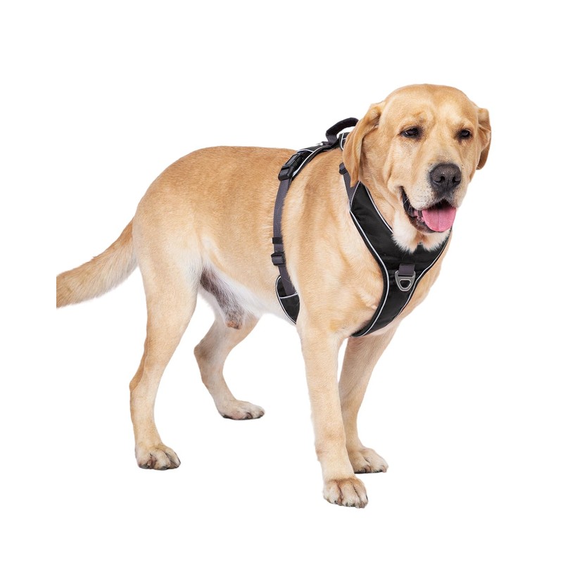APDEXY No Pull Dog Harness with 2 Leash Clips, Reflective
