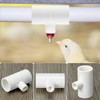 QWORK Chicken Waterer PVC Tee Fittings, 20 Pack PVC Pipe