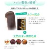 Sastty [For Gray Hair] Rishiri Hair Color Stick (Dark Brown)