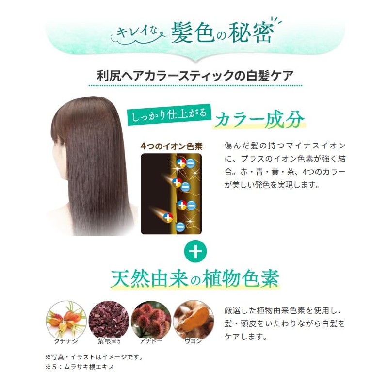 Sastty [For Gray Hair] Rishiri Hair Color Stick (Dark Brown)