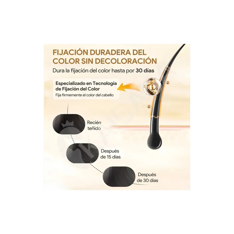 Kaisasa Shampoo Con Tinte Cubre Canas Natural Jengibre 500ml-Negro