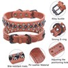 Stylish PU Leather Dog Collar with Alloy Buckle, Black Diamond