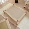 PawComfort Petbreeze Elevated Wooden Cat Bed – Sisal Scratching Mat