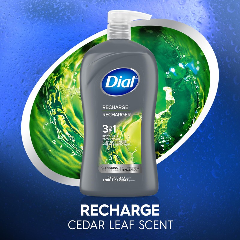 Dial Men 3 in 1 Body, Hair and Face Wash,