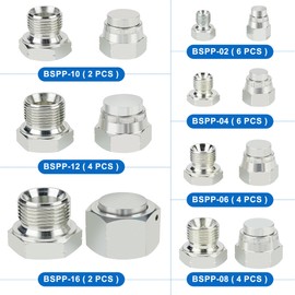 ANCIMOON 56PCS BSPP Hydraulic Hose Caps and Plugs, Size 2 4 6 8 10 12 16