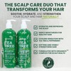 KESMEDIK Tea Tree Oil Shampoo and Conditioner MaxTherapy Set, Itchy