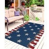 Independence Day Country Star Outdoor Rug 4x6ft, Waterproof Indoor Outdoor