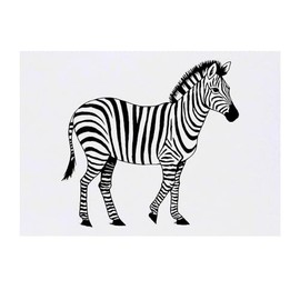 'Zebra' Temporary Tattoo - Water Resistant, Skin-Safe, Non-Toxic Transfer (TO00066647)