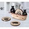 Bear Coasters Set of 6 Cute Table Coasters Resin Drink