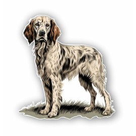 AMA SHOP Vintage English Setter Sticker | Passion Hunting | Sticker for Helmet, Motorcycle, Motorhome, Boat | Car Tuning