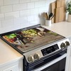 Electric Stove Top Cover Protector,Red Wine Grapes Glass Flat Top