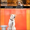 DDOXX Reflective Airmesh Dog Collar - Sturdy and Adjustable Puppy