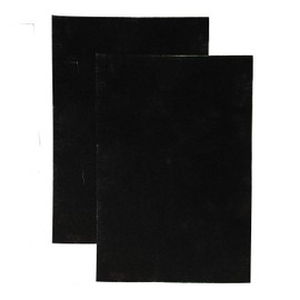 LivePure CocoCarbon Replacement LP-PF900 Pre-Filter for Aspen Series Air Purifier LP350TH, LP350THP, 2 Pack, 2 Count (Pack of 1), Black