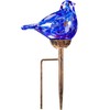 Solar Bird Garden Stake Lights - Hand Blown Glass Decorative
