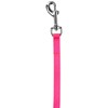 Coastal Pet Single-Ply Nylon Leash with easy-to-use Bolt Snap, Neon