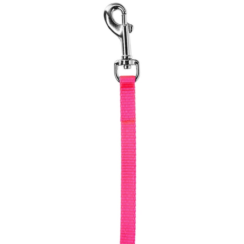 Coastal Pet Single-Ply Nylon Leash with easy-to-use Bolt Snap, Neon