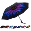 SY COMPACT Automatic Windproof Umbrellas Strong Umbrella in Rain and