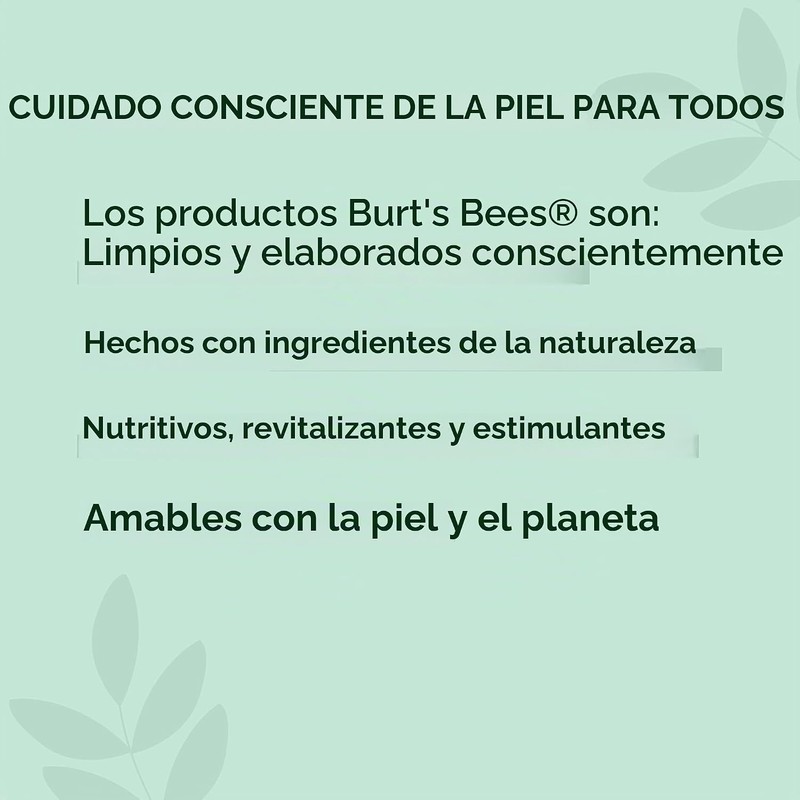Burt's Bees Glossy Lipstick Nude Mist 503 – Hidratante y