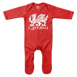 Purple Print House Cymru Dragon Baby Romper Suit Wales Welsh Baby Rugby Welsh Boys Girls, 3-6 Months, Red