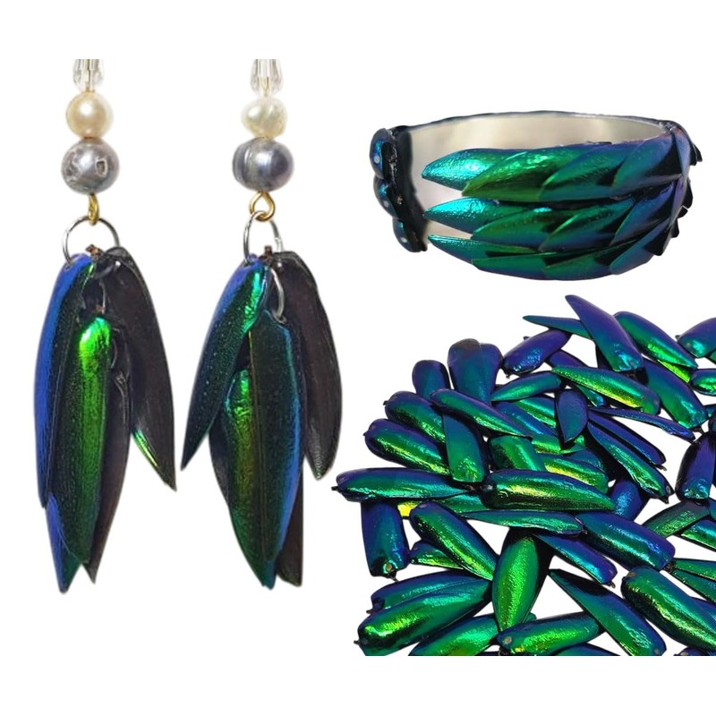 WitnyStore Jewel Beetle Wings Emerald Green 100 Pieces Set Metallic