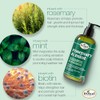 Difeel Champú de Menta y Romero con Biotina