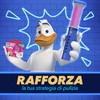 Duck Fresh Discs - Dischi Gel Igienizzanti WC, Fragranza Ibisco,