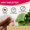 Vroody Vegan Ginkgo Biloba Extract 6000mg high dose - with