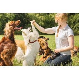 Pet Training Treat Bag with Carabiner Clip & Drawstring Closure, 14cm x 14cm, Assorted Colours Available with Paw Print - Ideal for Outdoor Walks & Training Puppies and Dogs (GREY & WHITE)