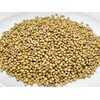 Indian Home Curry Step Up Spice Set (Includes Easy Recipes),