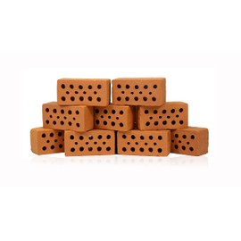 GARNELEN4YOU® Mini Brick | Premium Shrimp Brick for Aquariums | Made in Germany | Plastic-Free Packaging | Miniature Brick Brick (10 Mini Bricks)