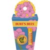 Burt's Bees Gifts Ideas - Spring Surprise Set, Original Beeswax