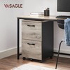 VASAGLE 2-Drawer File Cabinet, Small Rolling Filing Cabinet for Home