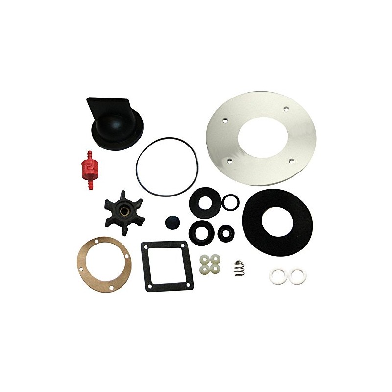 Raritan Crown Head CD Series Repair Kit
