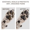 Dog Paw Balm – 60g | Natural Revitalizing Balm| Soothes,