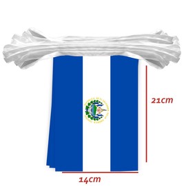 30PCS El Salvador National Flag Bunting String,33 FT Salvadorans Pennant Banner Decoration,Decoration Banner for School Party Meeting Carnival Decor