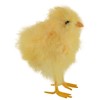 Northlight 5” Yellow Feather Easter Chick Figure