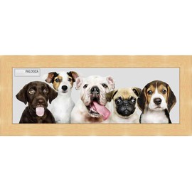 Poster Palooza 16x40 Traditional Natural Complete Wood Panoramic Frame with UV Acrylic Plexiglass, Foam Board Backing & Hardware Included
