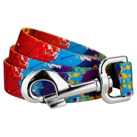 Country Brook Petz - 1 Inch Paint Splatter Dog Leash - 6 Foot
