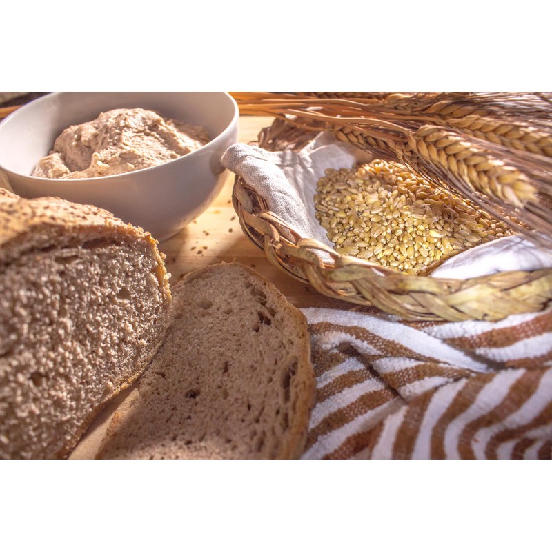 Good Gut Tribe - Fresh Sourdough Starters. Organic Certified. Vegan