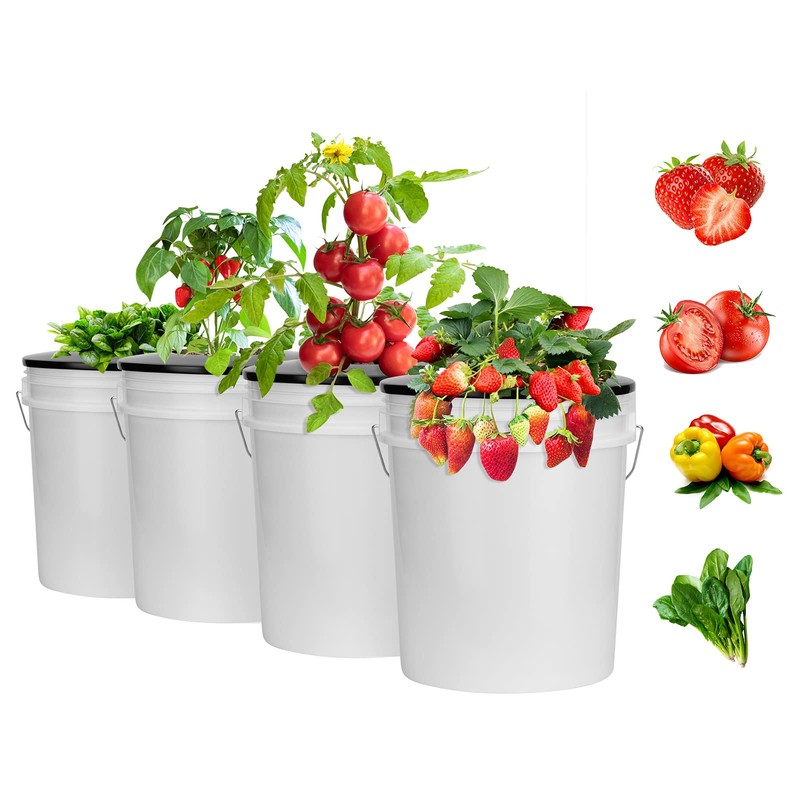 Tectsia 3 Pack Net Pots 6 Inch for 5 and