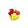 Yupik Organic Fruity Jungle Mix, 16 oz, Gummy Candy, GMO-Free,