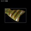 Deps (デプス) Bull Flat 3.8" #28 Scuppinon