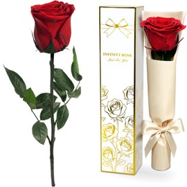 Yamonic Preserved Real Rose Gifts for Women, Single Red Rose for Her