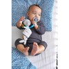 HABA 305827 Cuddle Blanket Robbe Rudi, Cuddle from 0 Years,