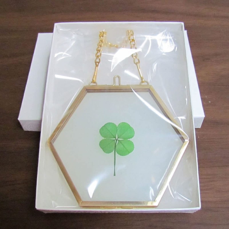 Clovers Online Genuine Four Leaf Clover Gold Brass and Glass