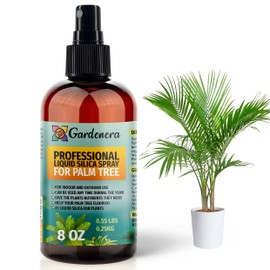 𝐒𝐔𝐏𝐄𝐑𝐈𝐎𝐑 Liquid Silica Boost Fertilizer and Supplement Spray for Palm Tree Plants – Pre-Mixed, Ready-to-Use Liquid Silicon Plant Superfood Mist for Indoor & Outdoor Plants – 8oz