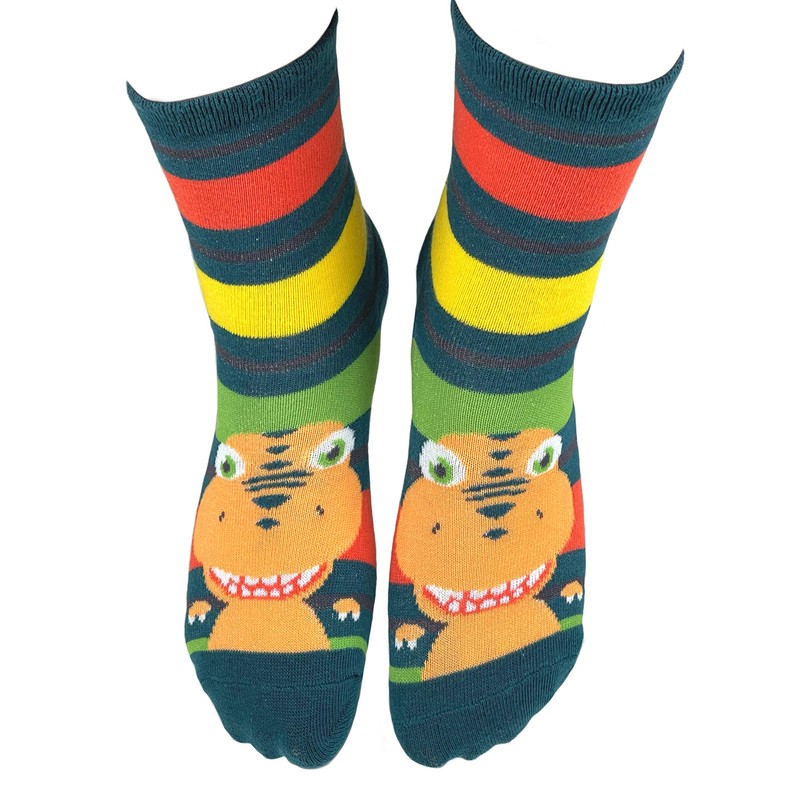Dinosaur Train Boys Fun Silly Space Dinosaur Kids' Socks -