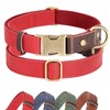 Didog Soft Padded Leather Collar for Large Dogs Classic Dog