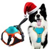 Dog Harness with Retractable Leash 51.2”,2-in-1 Large & Medium Dog