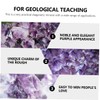 KICHOUSE 100g Amethyst Rough Ore Specimen for Teaching and Collection